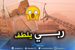 الرياح تتسبب في سقوط أعمدة الكهرباء وأشجار النخيل بغرداية