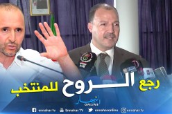 بالفيديو.. حطاب:”تأهل الخضر مُستحق وبلماضي أعاد الروح لزملاء محرز”