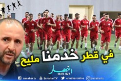 بالفيديو.. “بلماضي”:”الأمور تسير بشكل جيد داخل بيت الخضر”