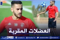 رضواني يغيب عن إتحاد العاصمة ل10 أيام بسبب الإصابة