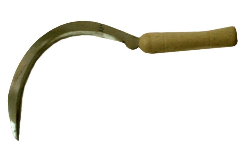 شاب يقتل صديقه بمنجل داخل مزرعة في ثالث يوم عيد الفطر في الرويبة