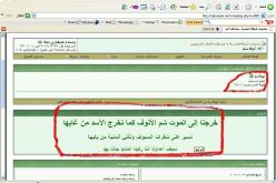 القاعدة ترحب بموجة الانتفاضات في الشرق الاوسط