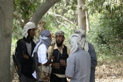 مقتل 7 عناصر من القاعدة بينهم 4 صوماليين في عملية للجيش بجنوب اليمن