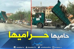 بالصور.. شاحنة لمؤسسة عمومية تفرغ نفايتها وسط برج البحري بالعاصمة 