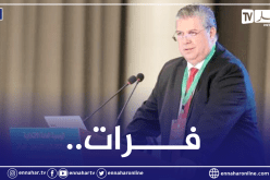 “الفاف” تُعلن الانتهاء من تعديل النظام الأساسي مع “الفيفا”