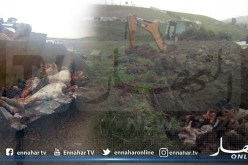 تيزي وزو: حجز اكثر من 28 قنطار من اللحوم الفاسدة