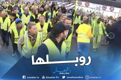 شاهد ما قام به مغترب جزائري في احتجاجات “السترات الصفراء” بباريس