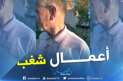 العنف يضرب الملاعب الجزائرية من جديد !!