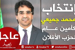 إنتخاب محمد جميعي أمينا عاما للافلان
