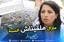 إيفاد لجنة ثانية للتحقيق في أسباب نفوق الأسماك بواد تليلات في وهران