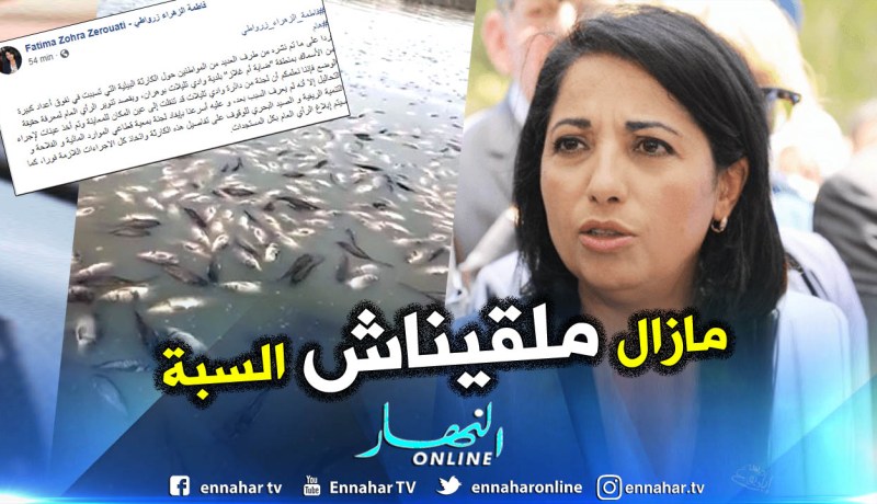 إيفاد لجنة ثانية للتحقيق في أسباب نفوق الأسماك بواد تليلات في وهران