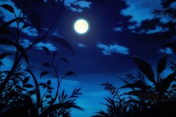 دعني من سجعك