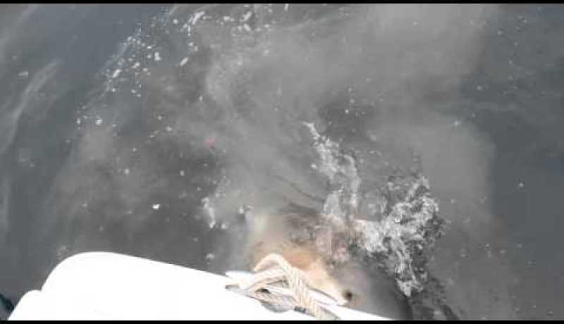 غرق قارب يقل صيادين على بعد اميال من شمال ميناء مستغانم