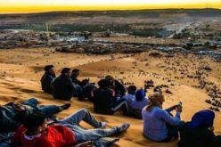 اختتام التظاهرة الشبانية .. الجزائر في أحضان صحرائها