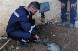 الشلف: الجزائرية للمياه تتدخل لقطع 3 توصيلات غير شرعية بالشطية