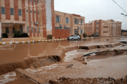 بالفيديو والصور.. رياح قوية مصحوبة بأمطار تضرب “الضاية بن صحوة” بغرداية