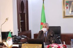 وزير السياحة: قطاع الفندقة والوكالات السياحية تضرروا كثيرا من كورونا وهكذا سنخفف الأعباء