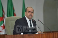 شنين: الانتخابات أنتجت سياقا سياسيا أتاح للرئيس فتح ورشات إصلاح لإعادة هندسة النظام السياسي