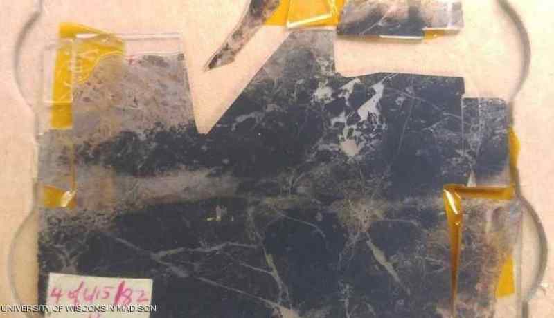 العثور على أثر حياة يعود إلى 3.5 مليار سنة