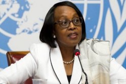 تصريحات المديرية الإقليمية بخصوص كورونا في الجزائر.. منظمة الصحة العالمية توضح