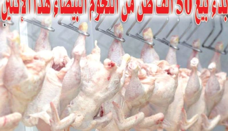 بدء بيع 50 ألف طن من اللحوم البيضاء هذا الإثنين