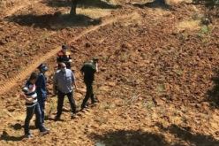الشلف: العثور على شاب مشنوق بواسطة حبل في شجرة