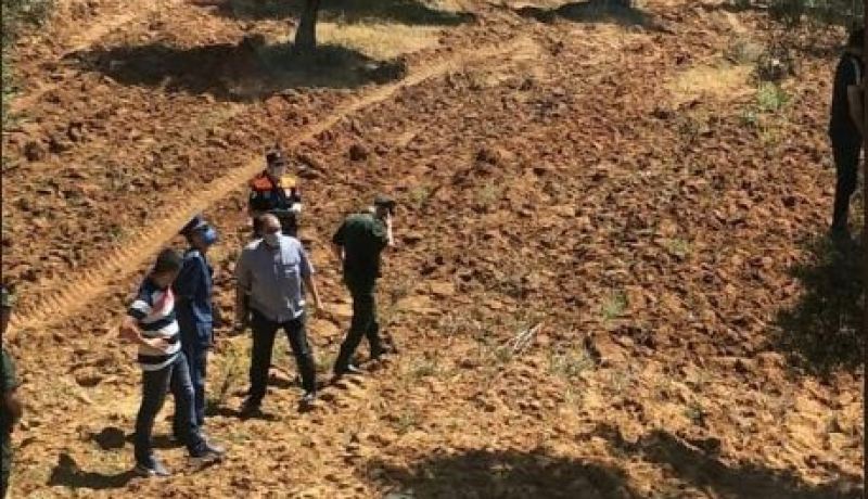 الشلف: العثور على شاب مشنوق بواسطة حبل في شجرة