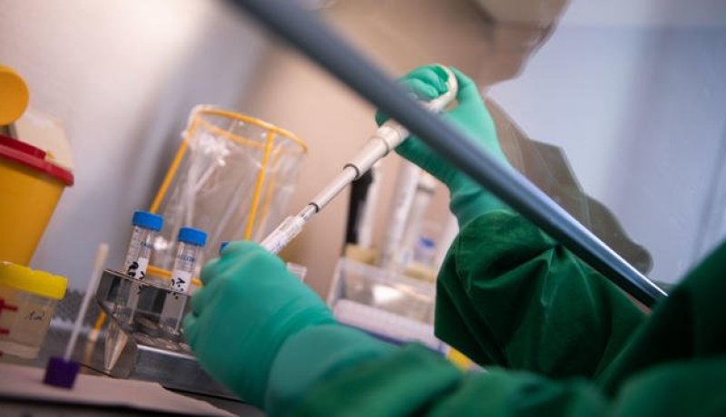 باحثون سويسريون وبريطانيون: السكر علاج ضد الكورونا