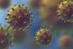 منظمة الصحة العالمية تعلن موعد طرح لقاح فيروس كورونا