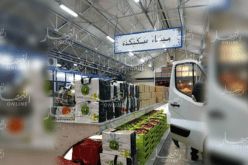 بالصور.. حجز كميات من السجائر والفواكه وقطع غيار بميناء سكيكدة