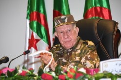 شنقريحة: “تطور وتحسن مستوى القوات المسلحة يتطلب الاحترافية والمهنية في التخطيط والتحضير القتالي”