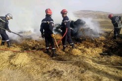 الشلف.. إندلاع حريق مهول في حقل فلاحي بالزبوجة
