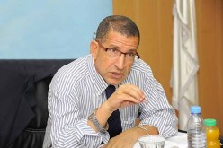 رئيس نادي المخاطر الكبرى يطمئن ويحذر: النشاط الزلزالي عادي لكن الخطر قائم