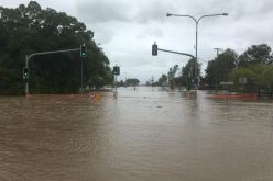 بالفيديو: تماسيح تجوب الشوارع الأسترالية بعد الفيضانات