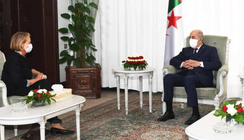 رئيس الجمهورية يستقبل السفيرة فوق العادة والمفوضة لمملكة السويد