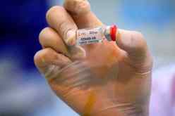 منظمة الصحة العالمية تكشف آخر مستجدات لقاح كورونا