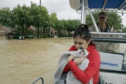 بالصور- إعصار “هارفي” يدمر أمريكا و”ترامب” يعتبره الأخطر