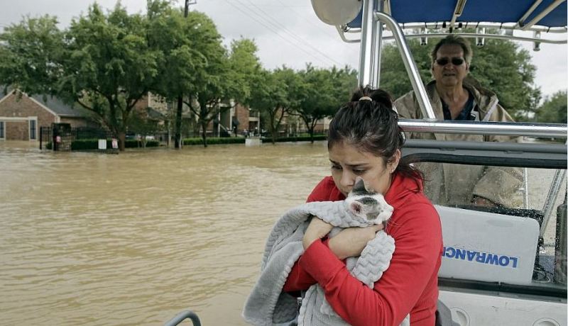 بالصور- إعصار “هارفي” يدمر أمريكا و”ترامب” يعتبره الأخطر