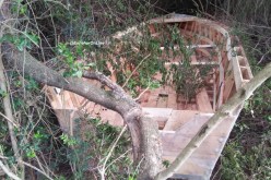 الدرك يكتشف ورشتين لصناعة قوارب «الحراڤة» داخل غابة في عنابة