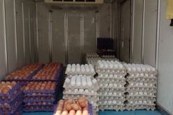 سوق أهراس: حجز كمية معتبرة من البيض