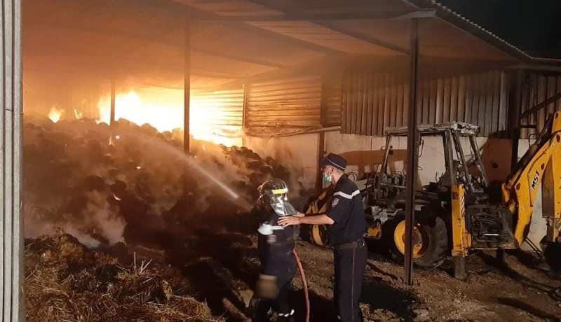 قالمة: إتلاف حوالي 1700 حزمة تبن وخرطال وحريق كلي لجرار وحفّارة