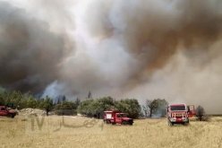 وزيرا الداخلية والفلاحة يحلان بولاية خنشلة وهذه آخر مستجدات الحرائق