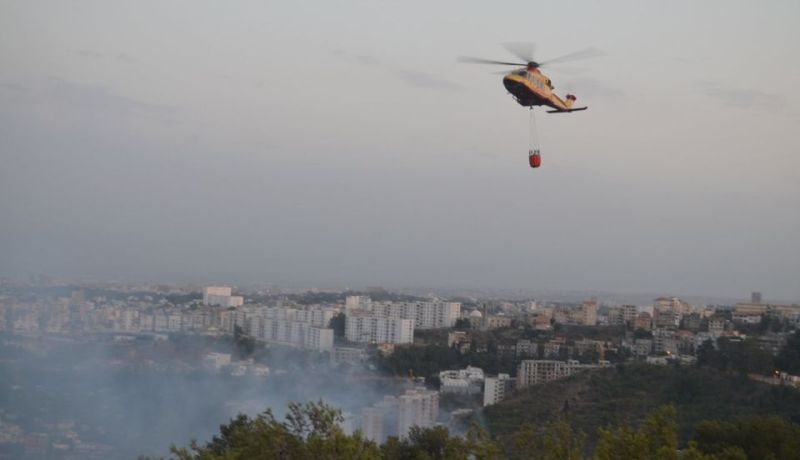 العاصمة.. حريق غابة سلآست بوزريعة اتلف 16 هكتار من الاشجار والأحراش