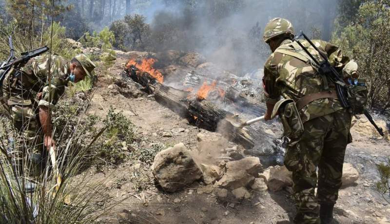 خنشلة: الجيش يفتح المسالك ويقيم عوازل لوقف زحف النيران