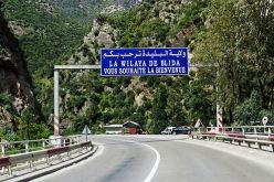 افتتاح أول دار للفنان بالبليدة في 4 جويلية المقبل