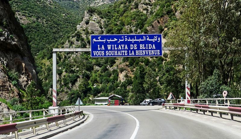 افتتاح أول دار للفنان بالبليدة في 4 جويلية المقبل