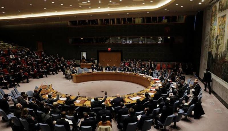 مجلس الأمن الدولي: تجديد حظر التسليح على إفريقيا الوسطى إلى 31 جويلية