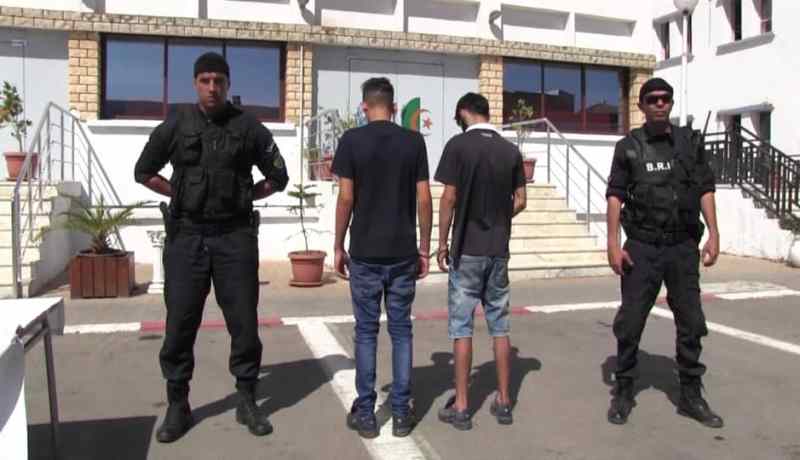 الإطاحة بعصابة اعتداء على مواطنين بتحريض كلاب رودفايلر بوسط وهران