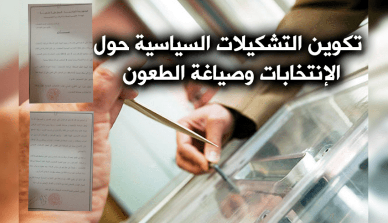 تكوين التشكيلات السياسية حول الإنتخابات وصياغة الطعون