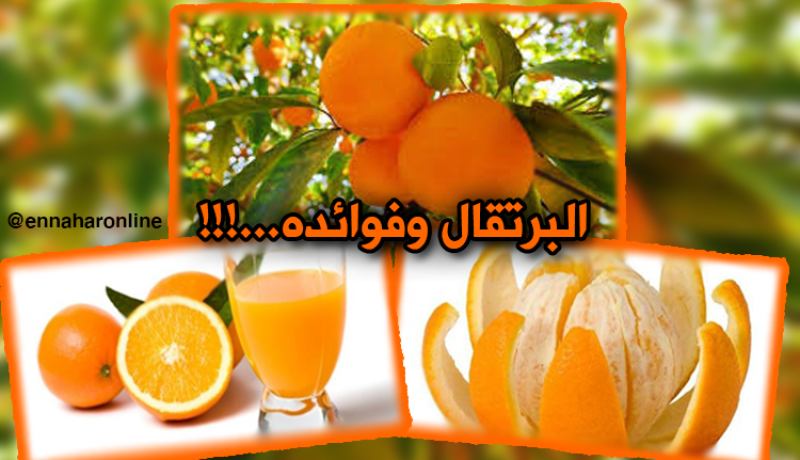 البرتقال.. دواء لكل أمراض الشتاء